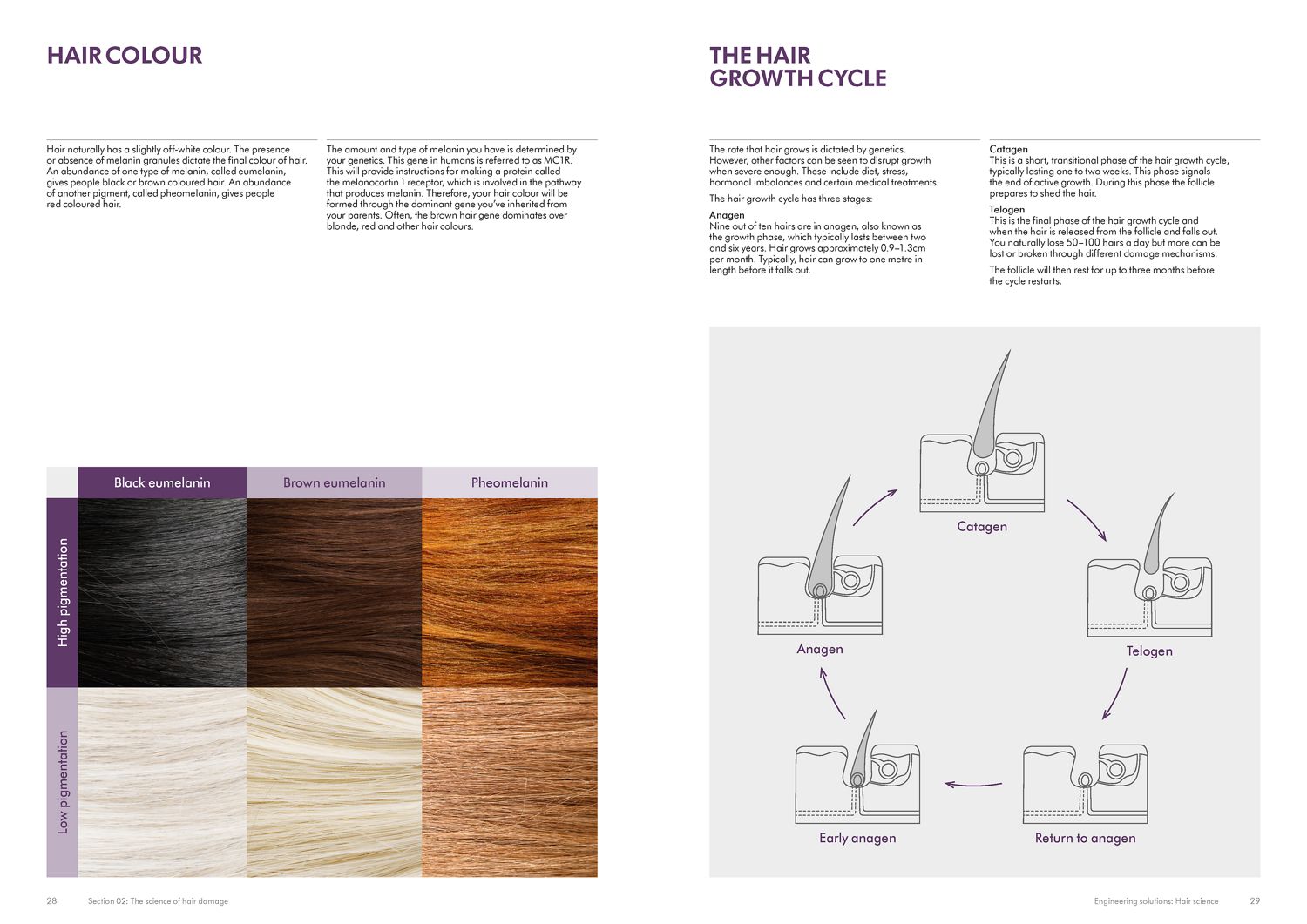 JDF hair science resource hair colour